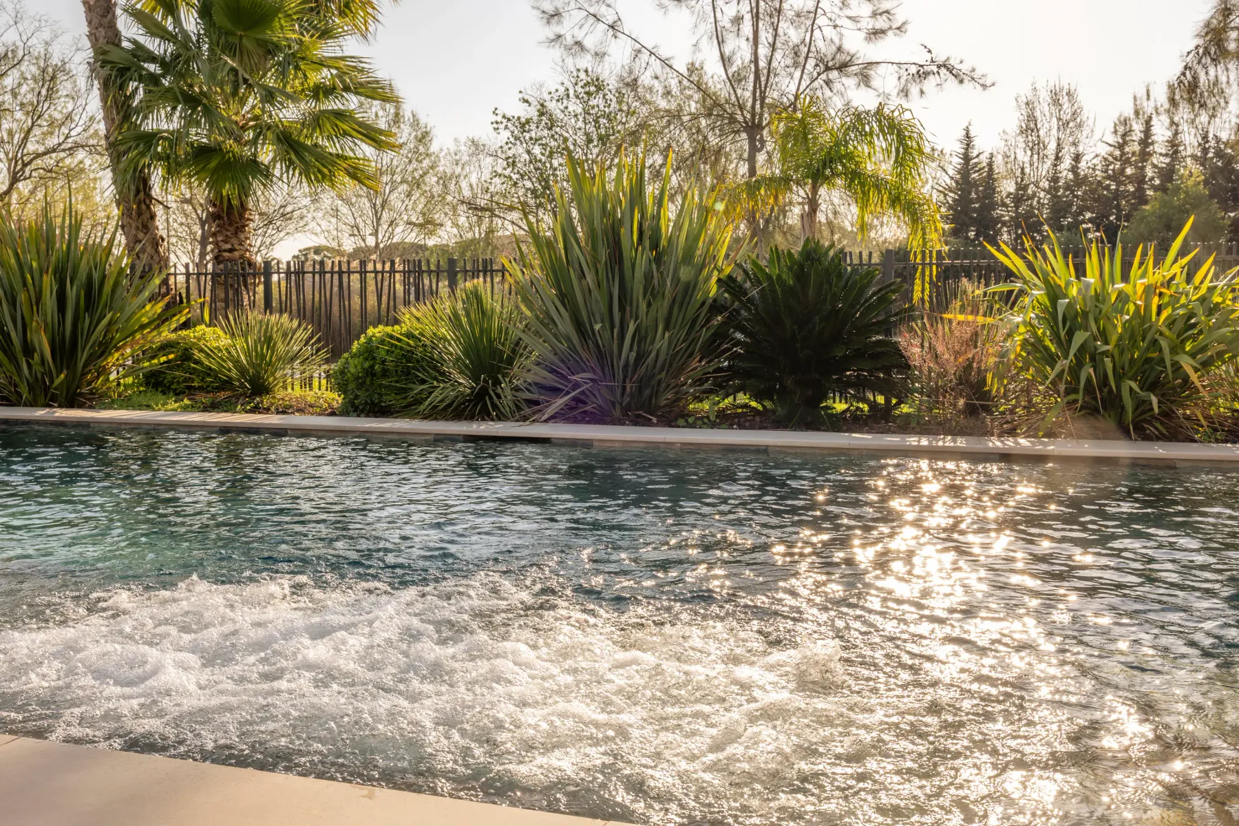 Piscine avec des jets d'eau en activité, entourée de végétation et de palmiers, sous un éclairage solaire