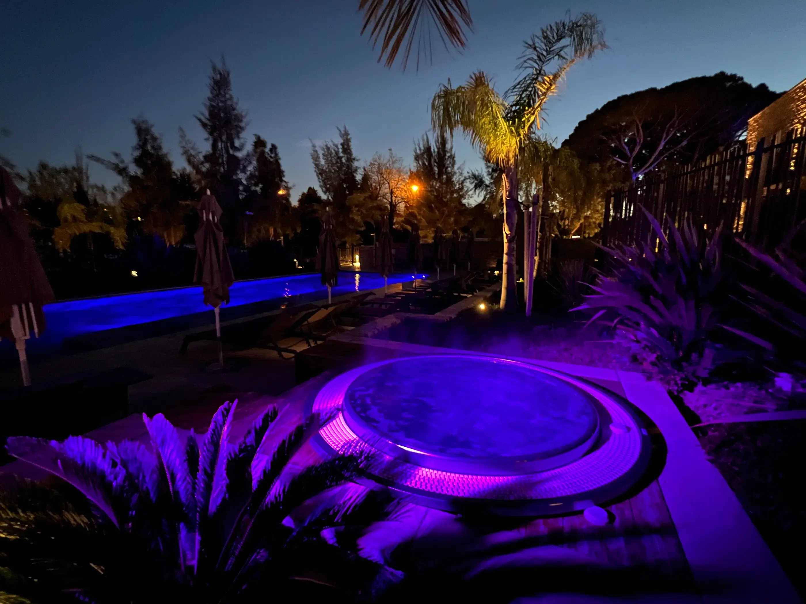 Piscine éclairée en bleu et violet entourée de végétation et de transats, avec des palmiers et des arbres en arrière-plan